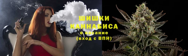 ГАЛЛЮЦИНОГЕННЫЕ ГРИБЫ Арсеньев