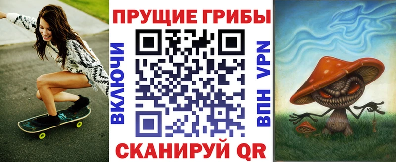 как найти   Ухта  Галлюциногенные грибы Psilocybine cubensis 